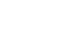 branch